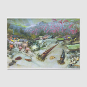 Vintage Ocean Marine Life - Seashells, Fish, Coral Tissue Paper