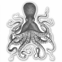 Vintage Octopus