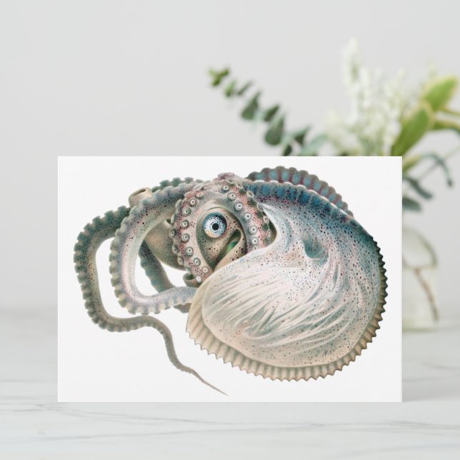 Vintage Octopus Argonaut, Marine Life Animals (Standing Front)
