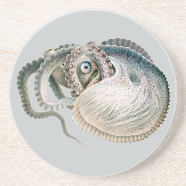 Vintage Octopus Argonaut, Marine Life Animals Coaster (Front)