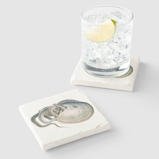 Vintage Octopus Argonaut, Marine Life Animals Stone Coaster (Side)