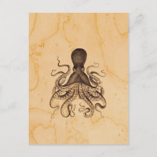 Vintage Octopus Illustration in Browns Postcard