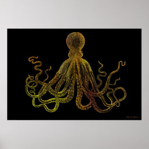 Vintage Octopus In Black And Gold Poster