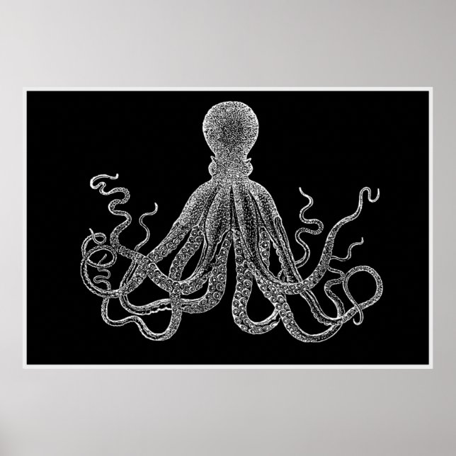 Vintage Octopus In Black And White Poster (Front)