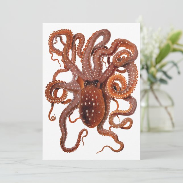 Vintage Octopus Macropus, Marine Aquatic Animals (Standing Front)