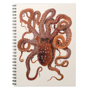 Vintage Octopus Macropus, Marine Aquatic Animals Notebook