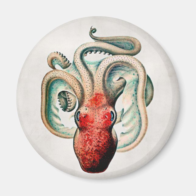 Vintage Octopus Magnet (Front)