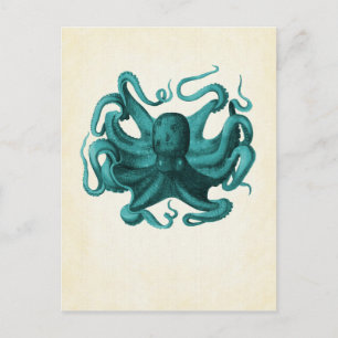 Vintage Octopus Postcard