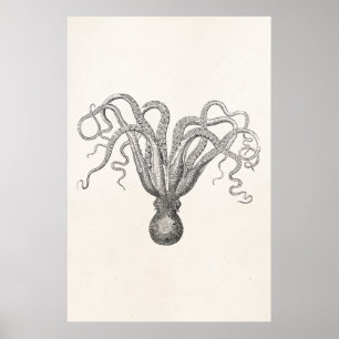 Vintage Octopus Poulpe Eight Armed Cuttle Fish Poster