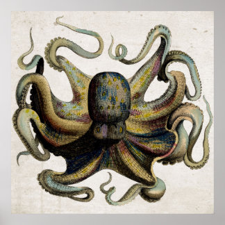 Vintage Octopus Print Poster