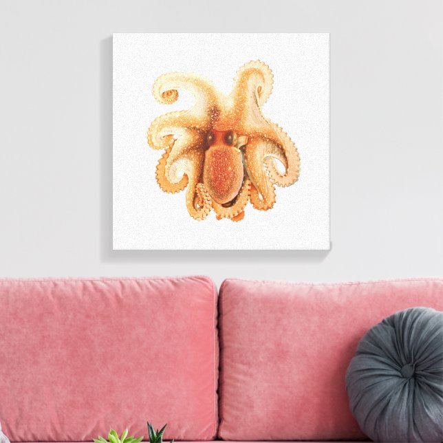 Vintage Octopus Salutii, Marine Aquatic Animals Canvas Print (Insitu(LivingRoom))