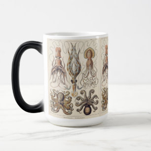Vintage Octopus Squid Art by Ernst Haeckel Magic Mug