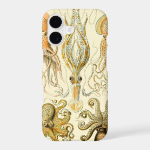 Vintage Octopus Squid Gamochonia by Ernst Haeckel