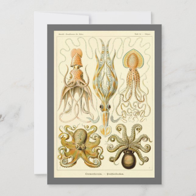 Vintage Octopus Squid Gamochonia by Ernst Haeckel Invitation (Front)