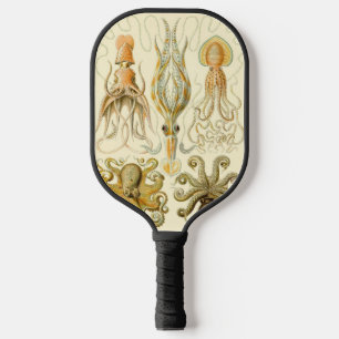 Vintage Octopus Squid Gamochonia by Ernst Haeckel Pickleball Paddle