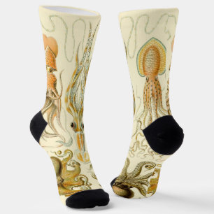 Vintage Octopus Squid Gamochonia by Ernst Haeckel Socks