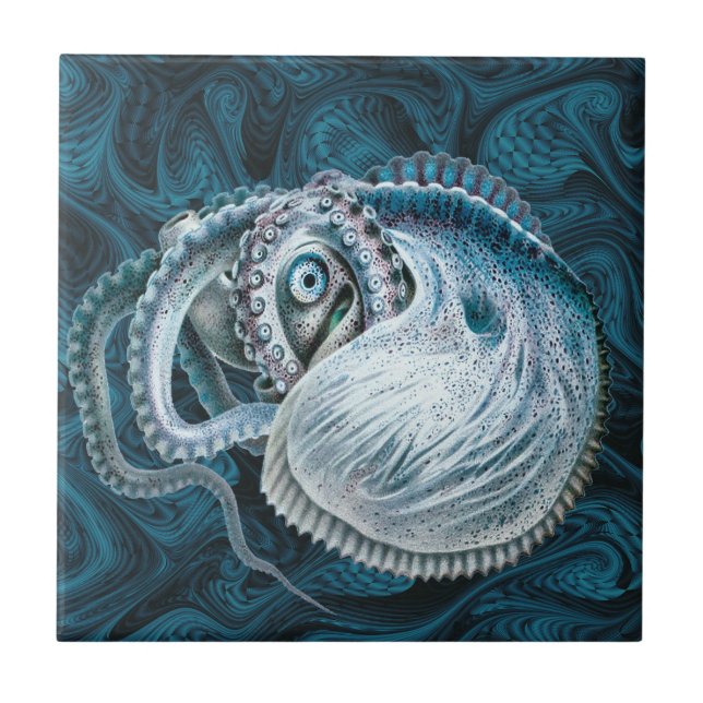 Vintage Octopus Squid Nautilus Argonaut Tile (Front)