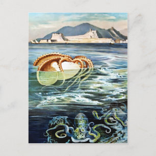 Vintage Octopus & Squid Postcard