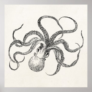 Vintage Octopus Template on Antique Paper Poster