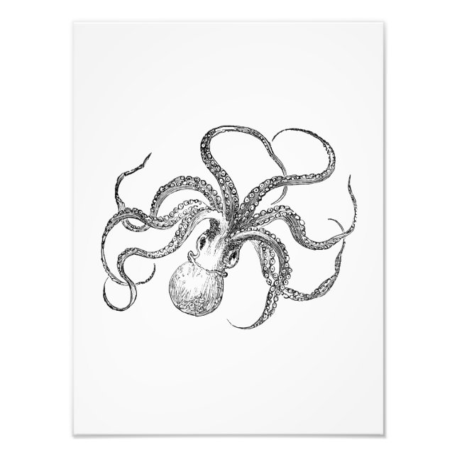 Vintage Octopus Template Photo Print (Front)