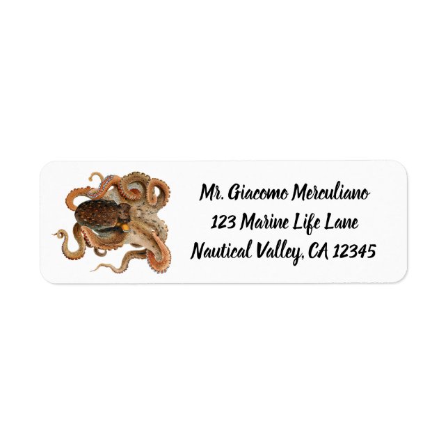 Vintage Octopus Vulgaris, Marine Life Animals (Front)