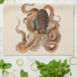 Vintage Octopus Vulgaris, Marine Life Animals Kitchen Towel