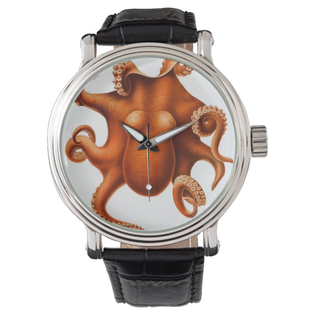 Vintage Octopus Watches (Front)