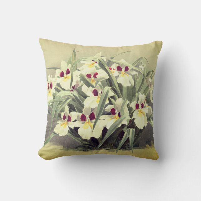 Vintage odontoglossum orchid throw pillow (Front)