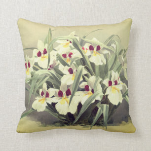 Vintage odontoglossum orchid throw pillow