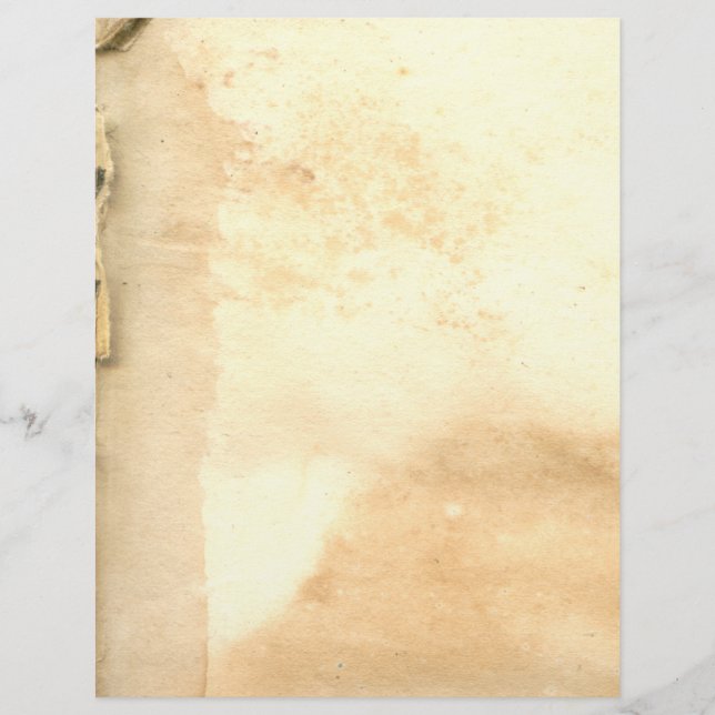 Vintage Old Book Leaves Letterhead (Front)