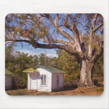 Vintage Old Florida Rustic Motel Cabins Roadside 