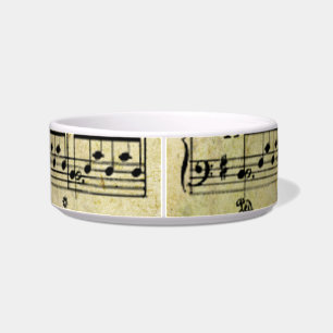 Vintage Old Music Notes Paper Texture Bowl
