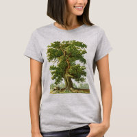 Vintage Old Oak Tree