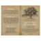 Vintage Old Oak Tree Wedding Collection - Program
