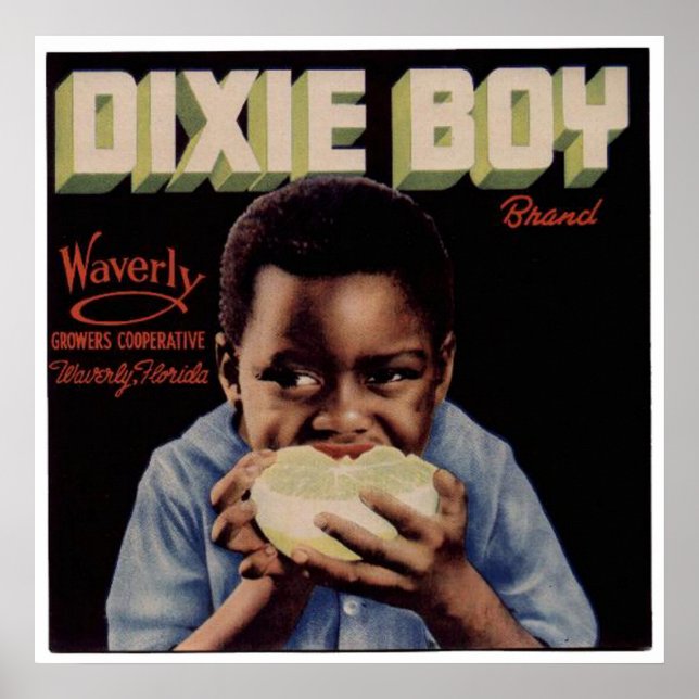 Vintage Old Oranges Fruit Crate Labels Poster (Front)