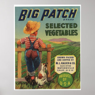 Vintage Old Vegetables Fruit Crate Labels Poster