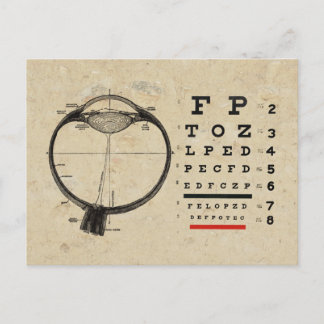 Vintage Ophthalmologist Postcard