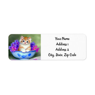 Vintage Orange and White Kitten Illustration