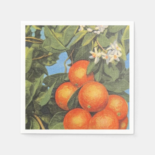 Vintage Orange Blossom Citrus Napkin (Front)