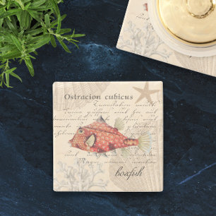 Vintage Orange Boxfish Illustration Nautical Stone Coaster