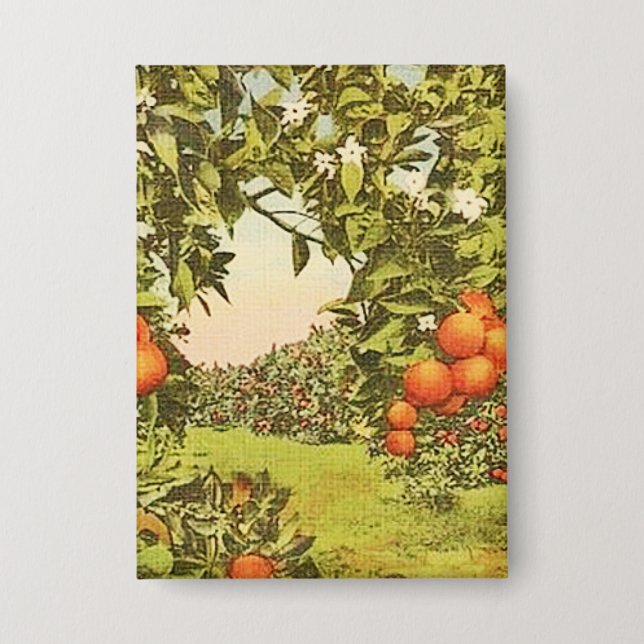 Vintage Orange Grove (Front)