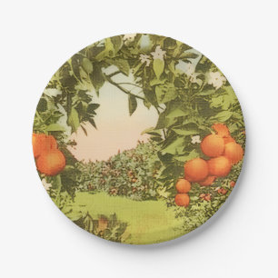 Vintage Orange Grove Paper Plate
