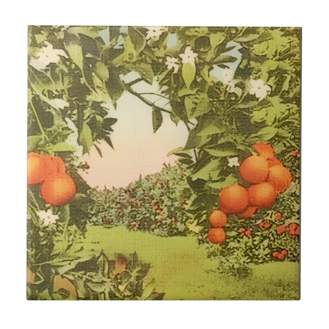 Vintage Orange Grove Tile (Front)