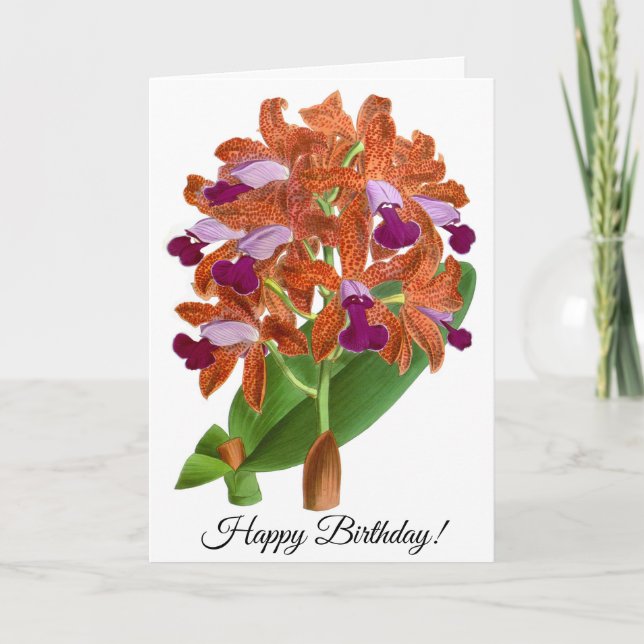 Vintage Orange Purple Orchid Flower Card (Front)