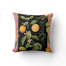 Vintage Oranges and Lemons with Pink Accent