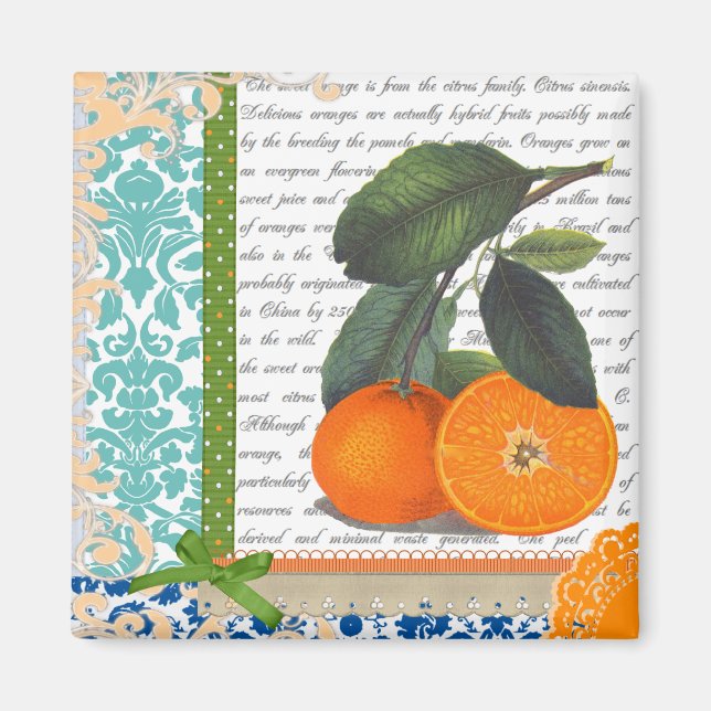 Vintage Oranges Collage Magnet (Front)