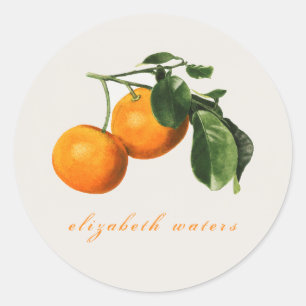 "VINTAGE ORANGES" CUSTOMIZABLE ENVELOPE SEAL