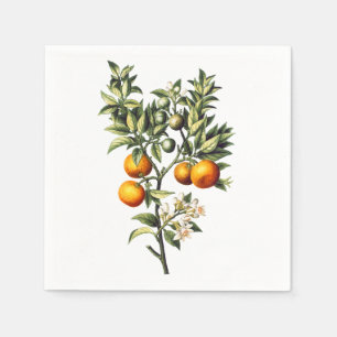 Vintage Oranges Napkin