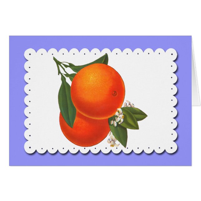 Vintage Oranges White Doily Blank Art Card (Front Horizontal)