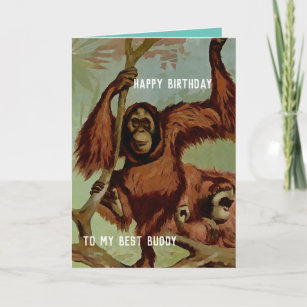 Vintage orangutans on a tree -  Happy Birthday Card